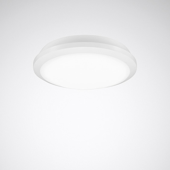 2345 LED Wand- und Deckenleuchte IP65